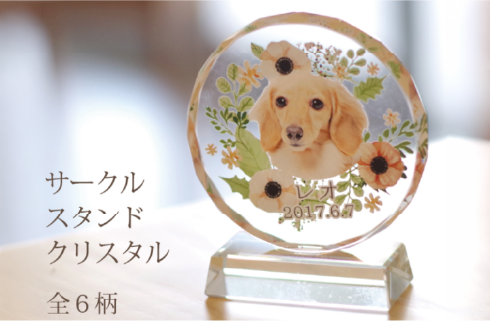 サークルスタンド