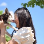 犬の気持ちが読み取れる5個のしぐさ