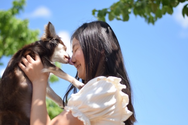 ワンちゃんの健康チェック