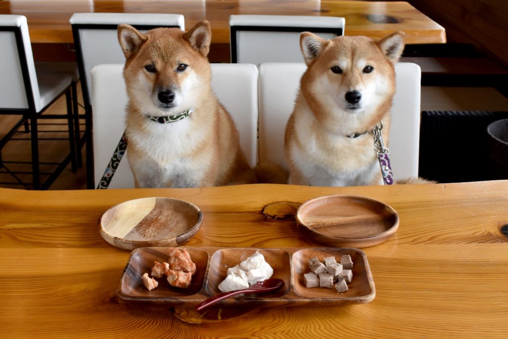 重要 犬が食べてはいけないng食べ物12種 東京都のペット葬儀 ペット火葬なら大森ペット霊堂