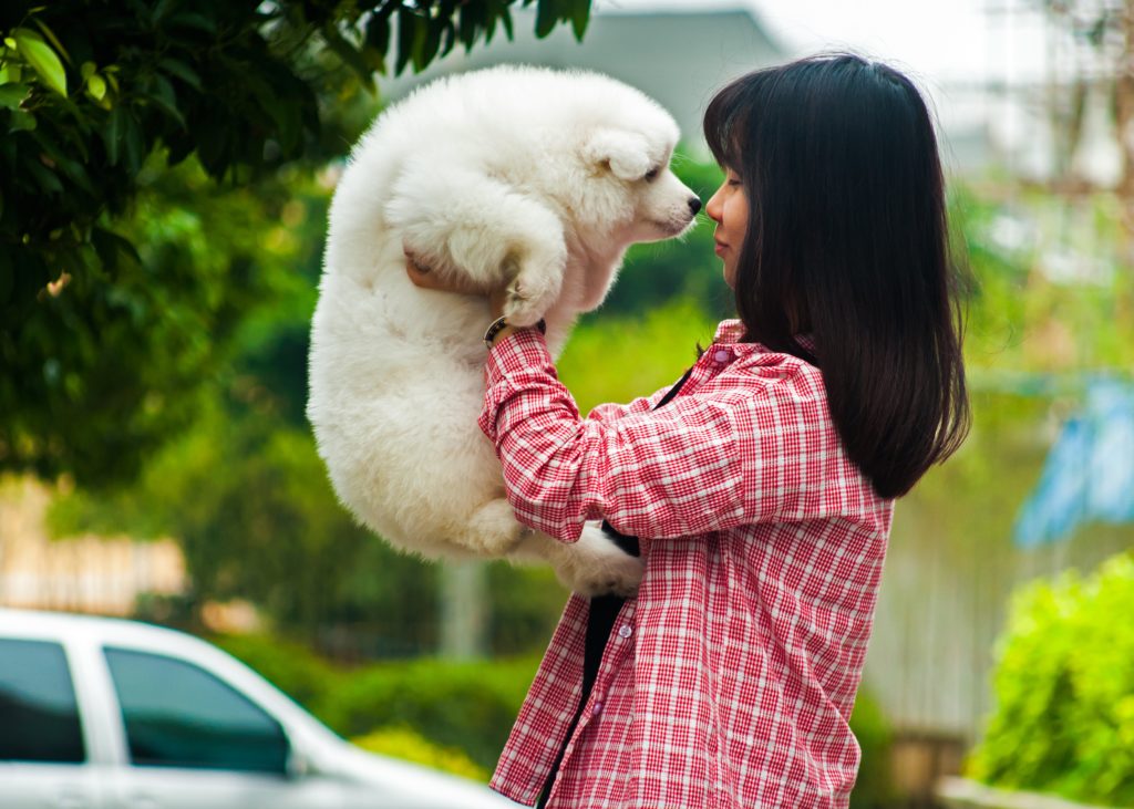 飼い主に抱き上げられる犬