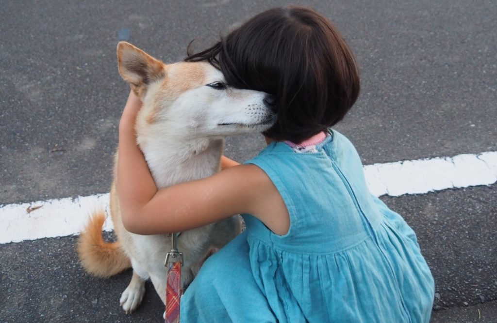 女の子と犬