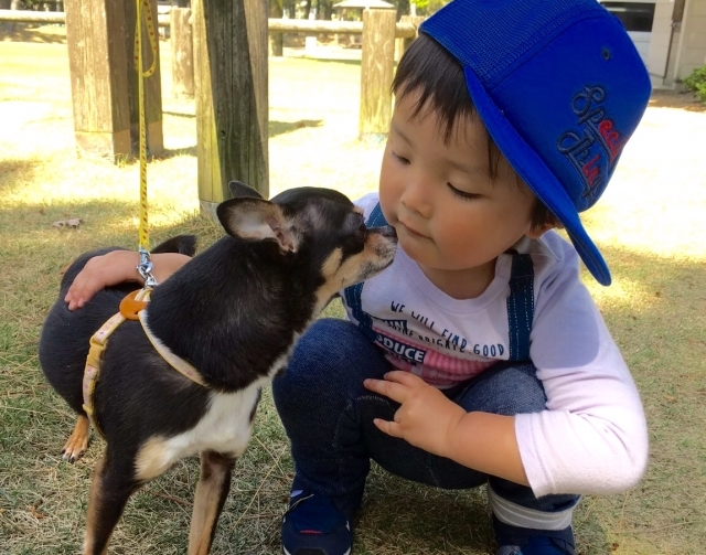 男の子と犬