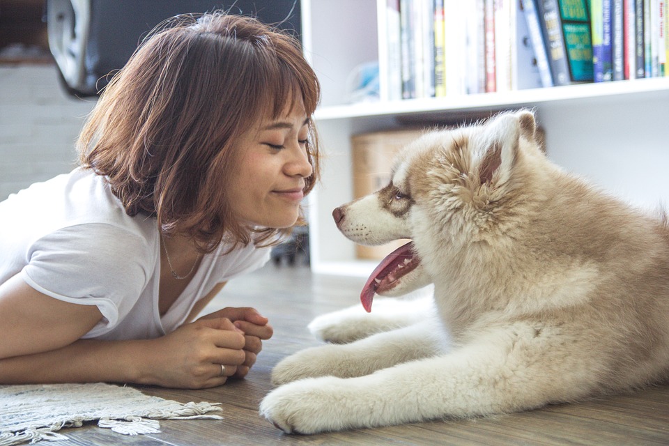 女性が床に伏せるワンちゃんに笑顔で接している