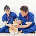 動物病院への緊急アクセスと家族のようなペットとの絆
