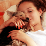 愛犬の寿命を延ばすために知っておきたい！ヨークシャーテリア寿命と健康管理法