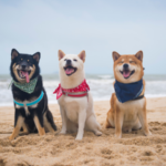 柴犬がかかりやすい病気と健康管理ガイド｜愛犬を守るための知識