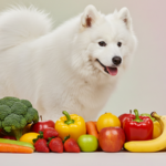 犬が食べていいもの・悪いもの一覧｜危険な食べ物と安全な食べ物