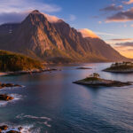 人間にはない動物の能力10選｜科学で証明された驚異のスキルとは？