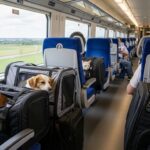 新幹線でペットと移動できる？ルール・料金・注意点を徹底解説