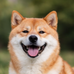 海外で人気の日本の犬ランキング｜世界が夢中になる日本犬7種とその魅力